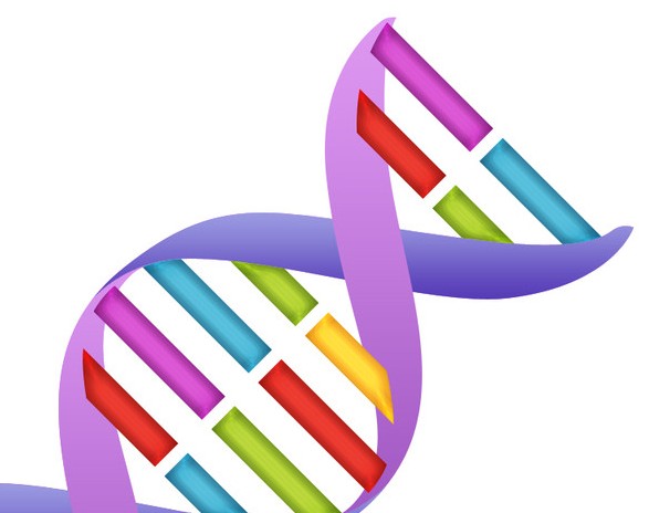 dna.jpg