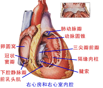 Glp0sanl.jpg