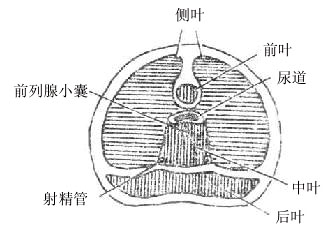 Gm79jab9.jpg