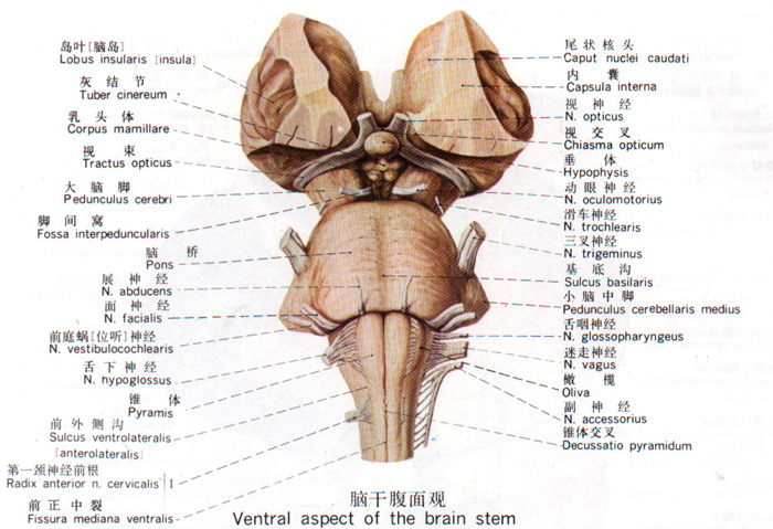 Glp7279e.jpg