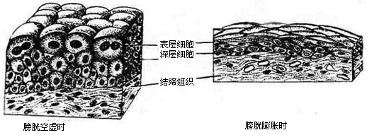 Glx9r8i2.jpg