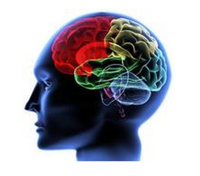 Brain.jpg