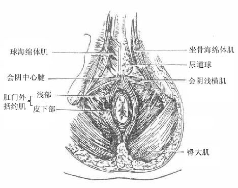 Gm79v0lf.jpg
