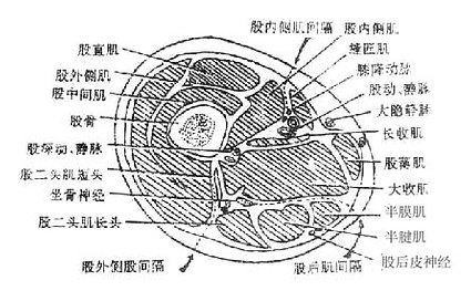 Glxqe8i1.jpg