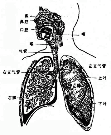 Glxd1f5m.gif