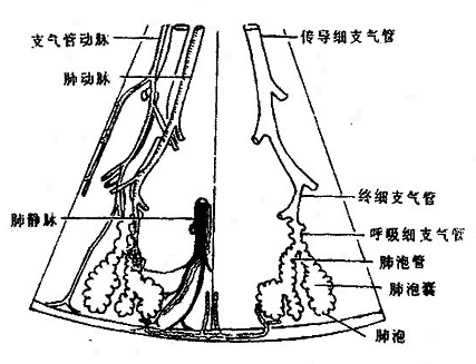 Glxd2j28.gif