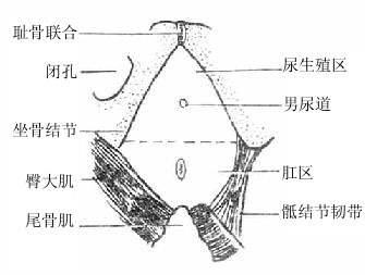 Gm79up81.jpg
