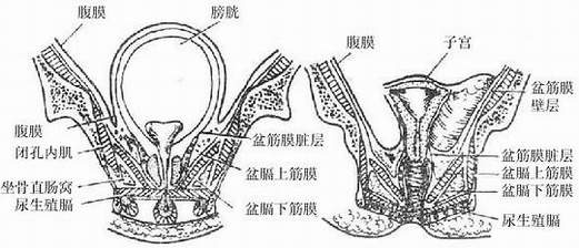 Gm79bddl.jpg