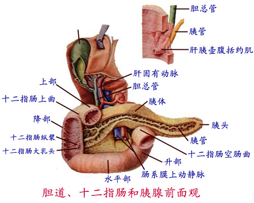 Glnku9cm.jpg