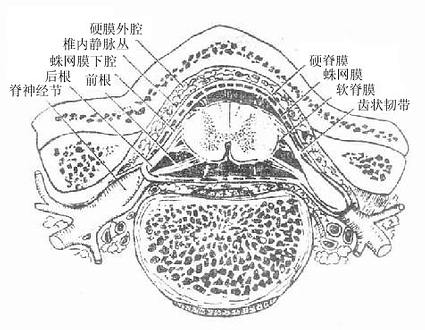 Gm7c84w6.jpg