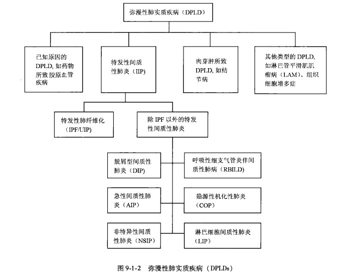 分类.jpg