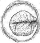 Bk9i5.jpg