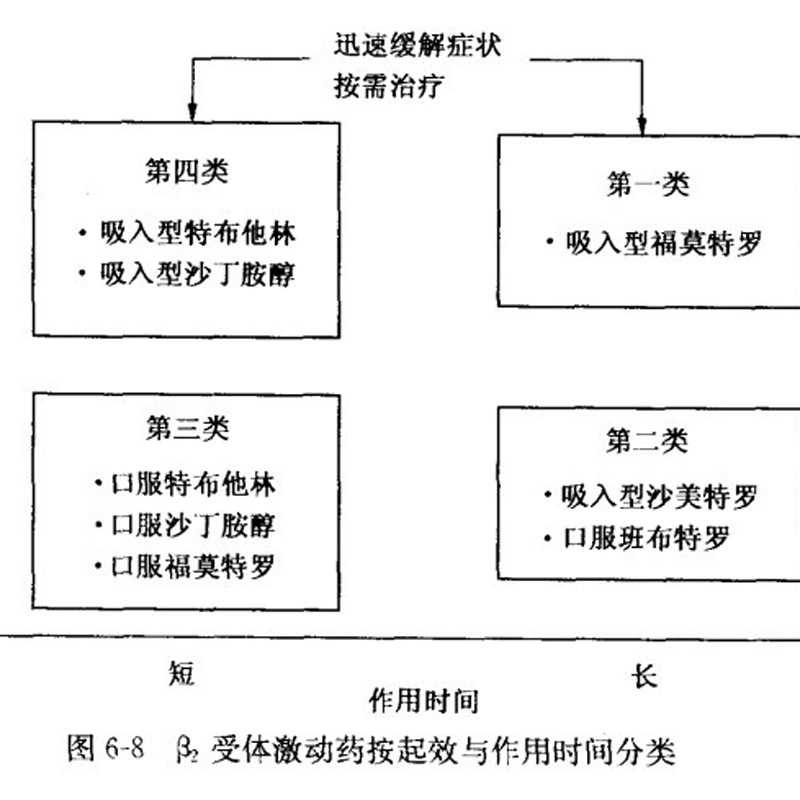 Β2受体激动剂.jpg
