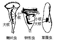 Bkci1.jpg