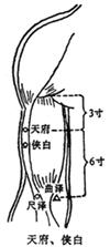 Bkfe5.jpg