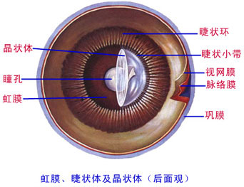 Glp4of45.jpg