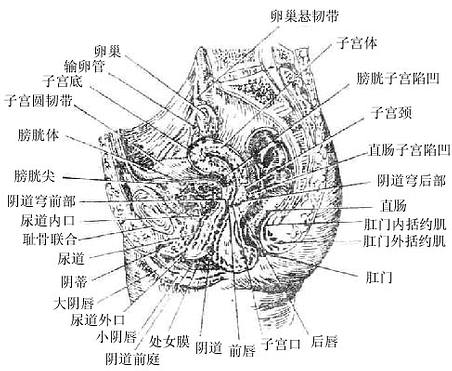 Gm79jpmg.jpg