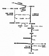 Bk82o.jpg