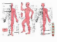 Xue full.gif