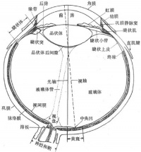 Bk788.jpg