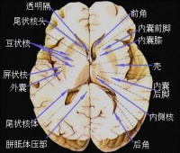 Bk7lw.jpg
