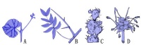 Bkbx7.jpg