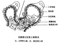 Bkma2.jpg