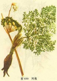 Bk001.jpg