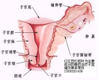 Bkjh1.jpg