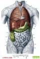 0509cHeEx1BY3pi9.jpg