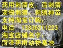 刺猬皮