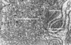 Bk914.jpg