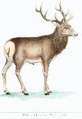 Bkbn8.jpg