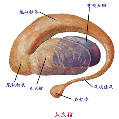Glp7969e.jpg