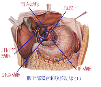 Glp2awl8.jpg