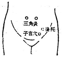 Bkiho.jpg