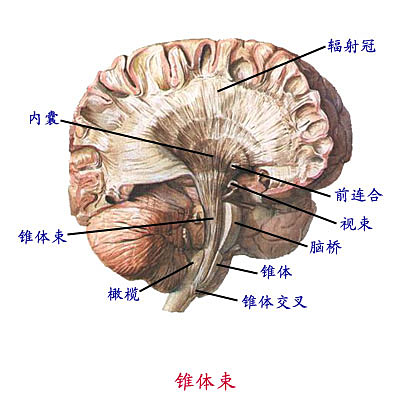 Glp7bgao.jpg