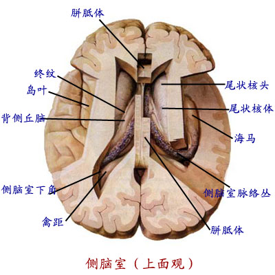 Glp7a9ef.jpg
