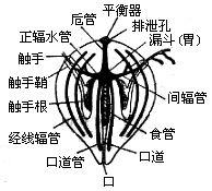 Bkbcr.jpg