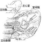 Bk985.jpg