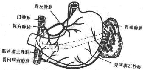 Glz52b5j.jpg
