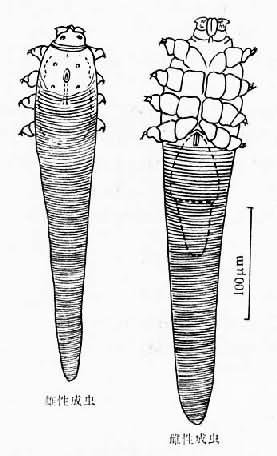 点击查看完整图片