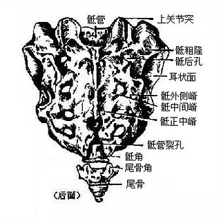 Glxiz457.jpg