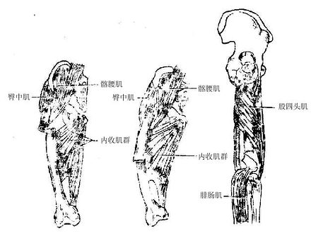 Glxq8798.jpg