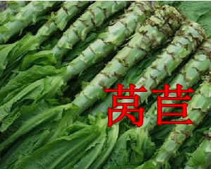 莴苣.jpg