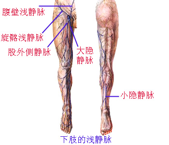 Glp3fkiu.JPG