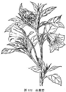 Gyl8xiw0.jpg