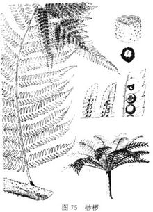 Gyl68d9r.jpg