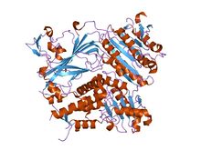 PDB 1pd0 EBI.jpg