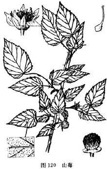 Gyl8y918.jpg
